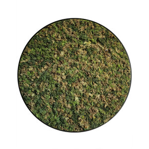 Moscirkel stijl ECO Mix Vetus