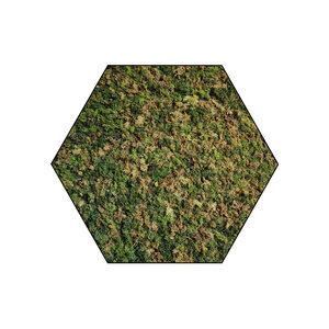 Mosshexagon ECO Mix Vetus