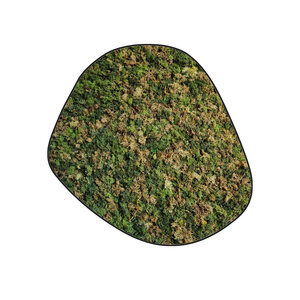 Mossdot cinco ECO Mix Vetus