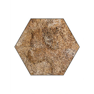 Reed Hexagon including Frame