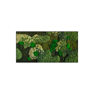 Moss rectangle Freya