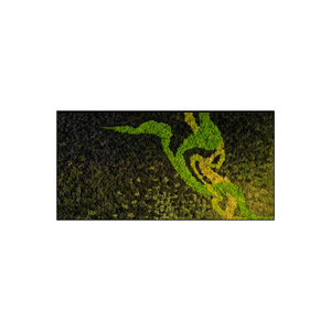 Moss rectangle Colvaya
