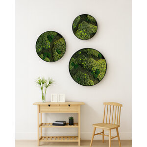 Moss circle set Oletta