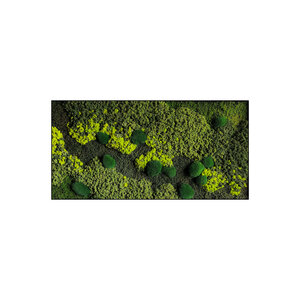 Moss rectangle Seine