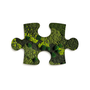 Mos puzzelstuk Seine