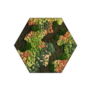 Mosshexagon Copper