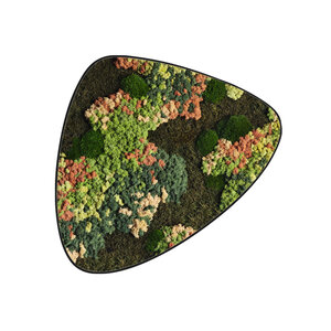 Mosdot tres Copper