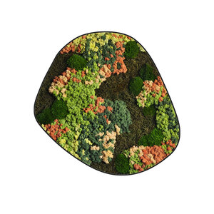 Mossdot cinco Copper
