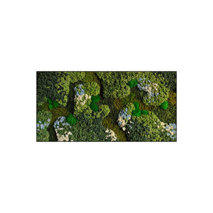 Moss rectangle Polar