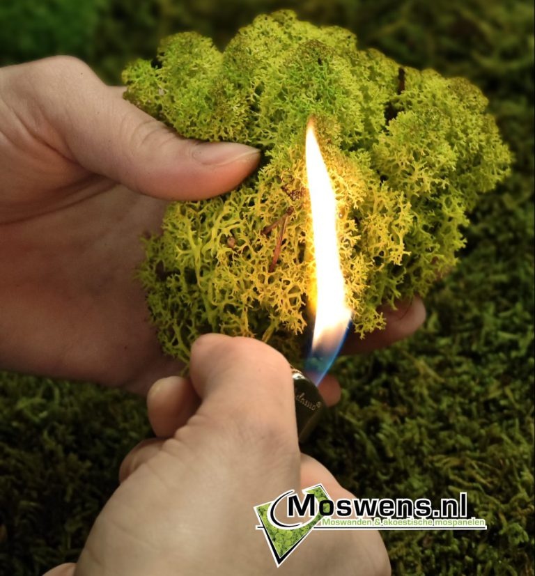What Fire Class Does a Moss Wall Have?