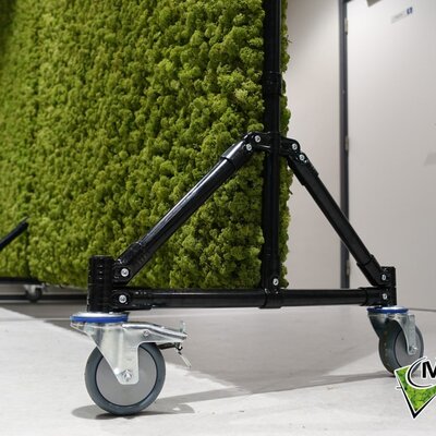 What Warranty Do You Get for a Moss Wall or Moss Painting?