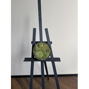 OUTLET Moscirckel Bolmos 25 cm