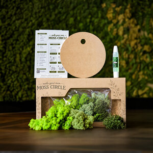 De Moss Gift Box groen