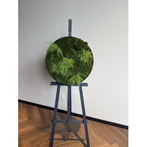 OUTLET Circkel Flufmos 60 cm incl. zwarte stalen rand