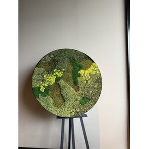 OUTLET Circkel Mossenmix 120 cm incl. zwarte stalen rand
