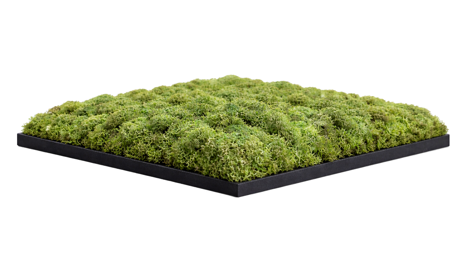 Black panel edge (standard)