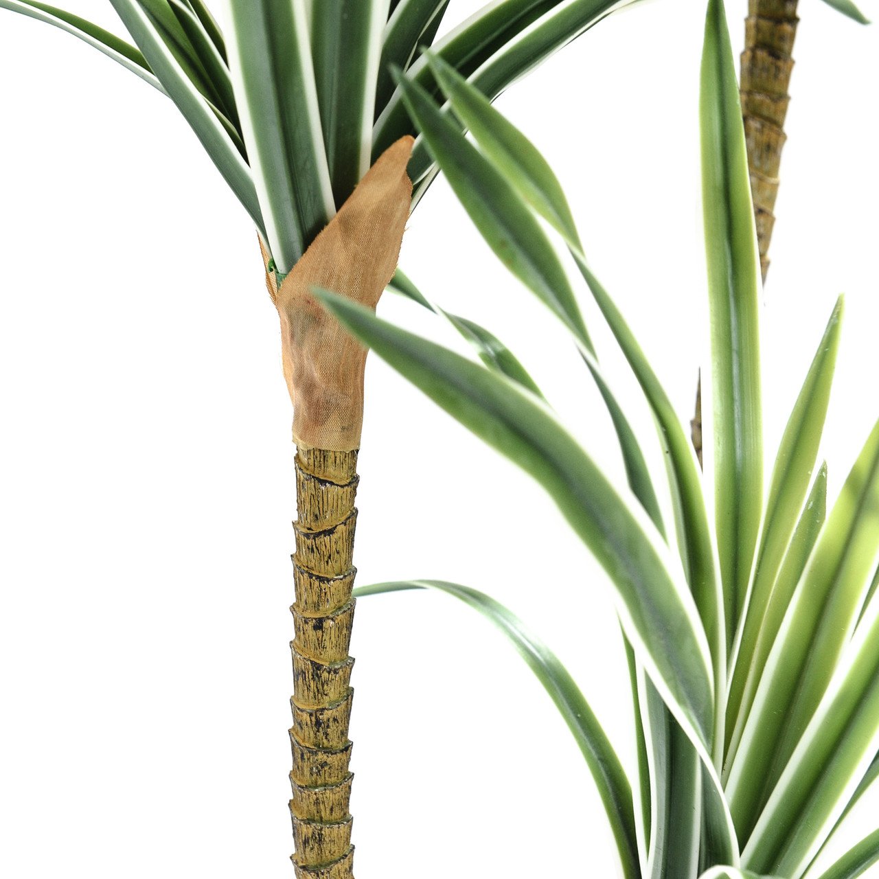 Kunst Dracaena Deremensis 85 cm bont