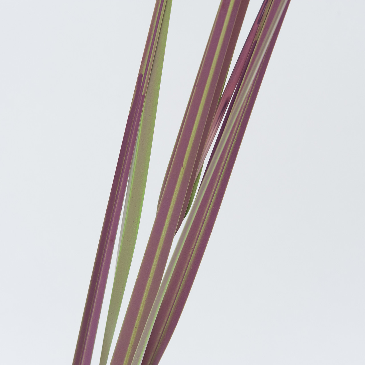 Pampasgras paarse kunst pluim 175 cm