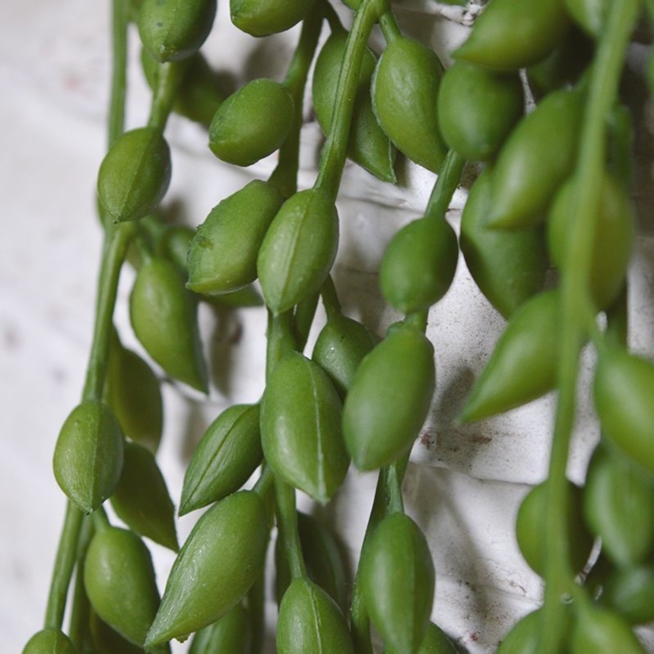 Senecio Pearl kunsthangplant 105 cm