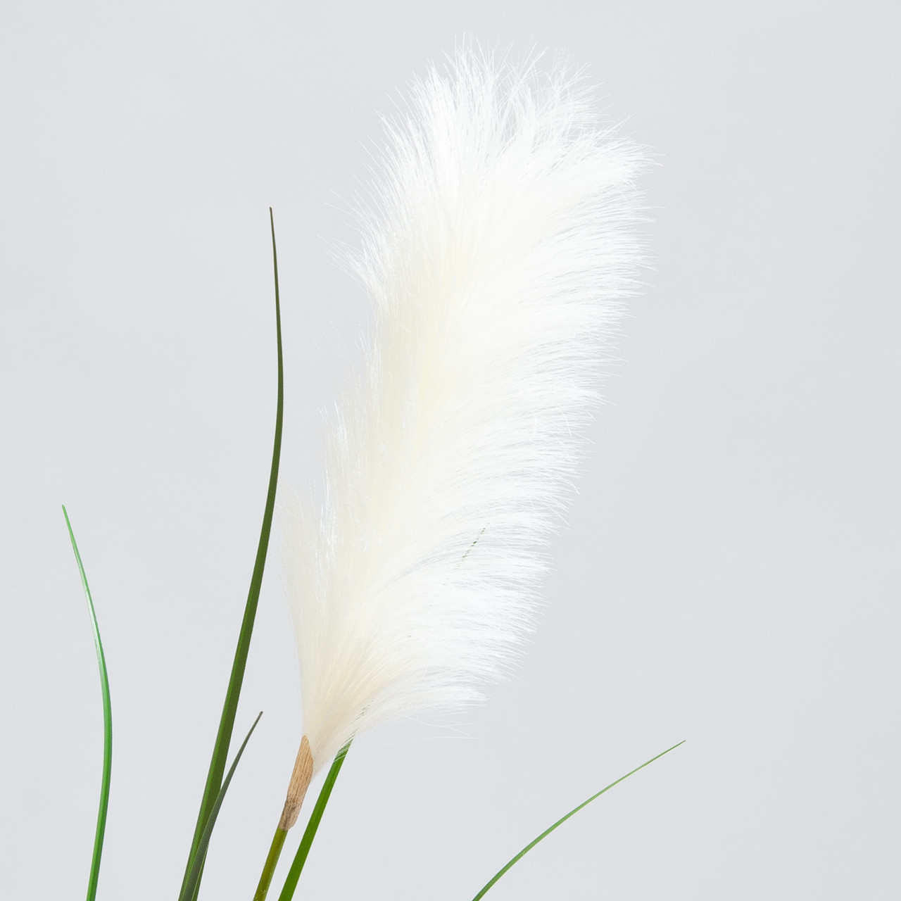 Artificial Pampas grass white plume 175 cm
