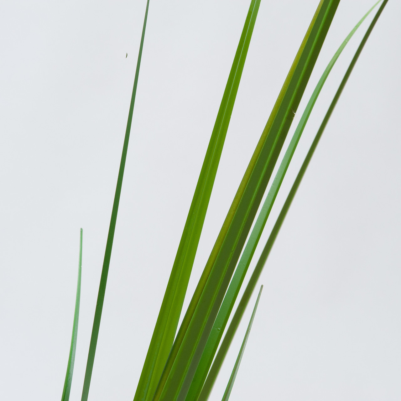 Artificial Pampas grass white plume 175 cm