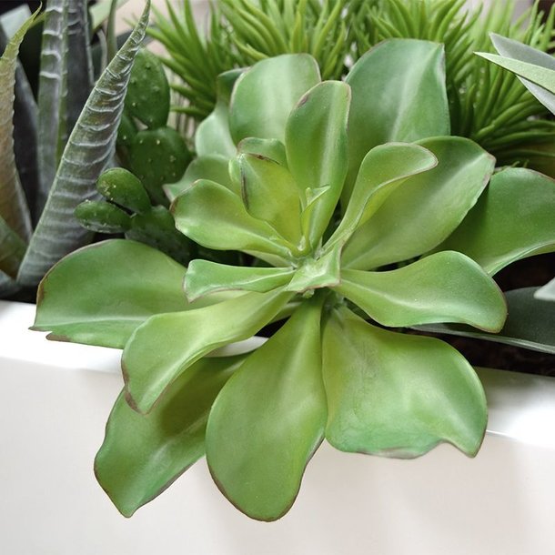 Echeveria kunstboeket 20 cm