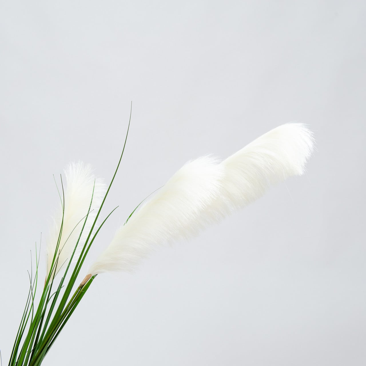 Artificial Pampas grass white plumes 195 cm