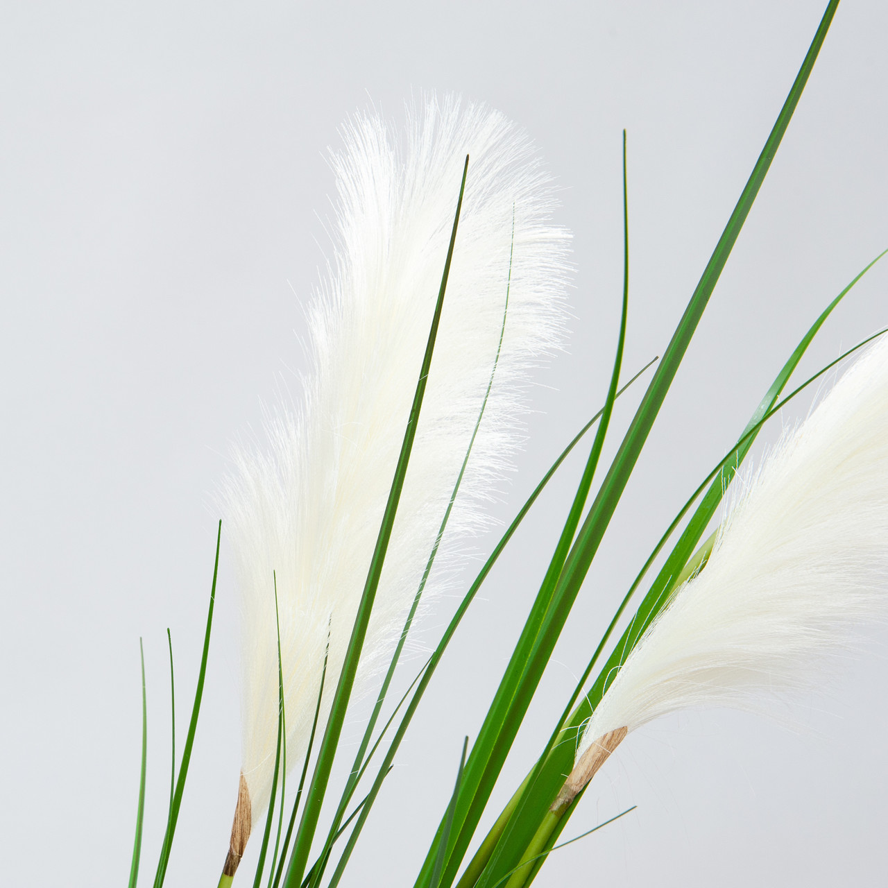 Artificial Pampas grass white plumes 195 cm