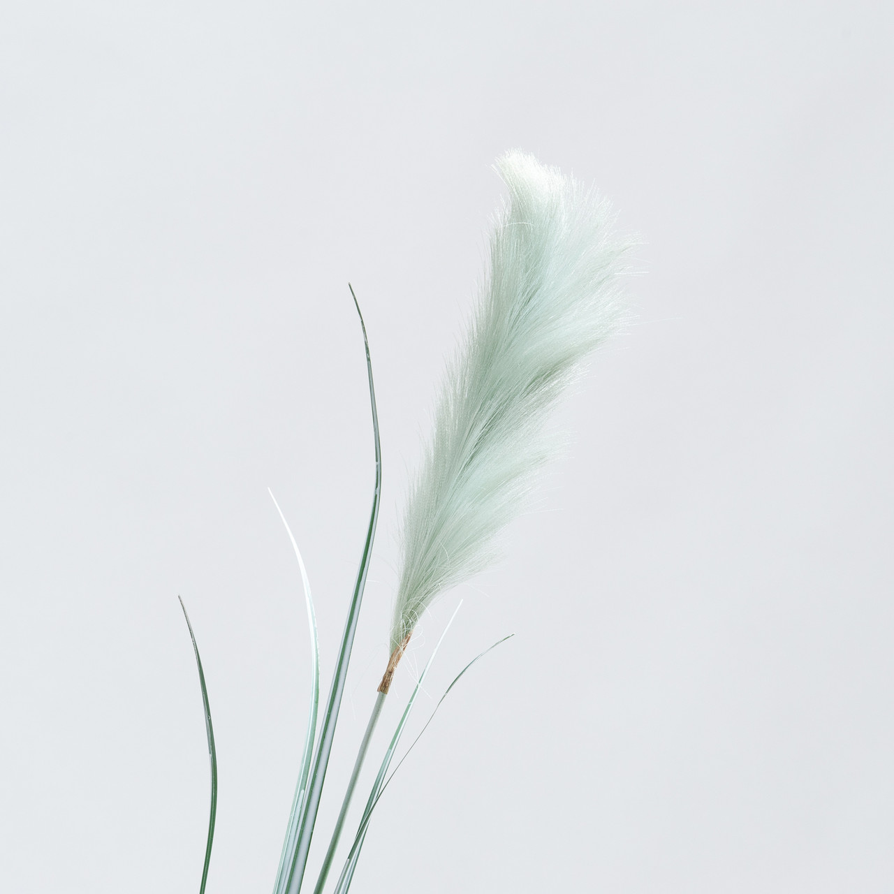 Artificial Pampas grass green plume 175 cm