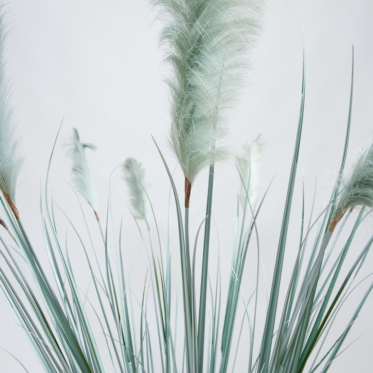 Artificial Pampas grass green plume 175 cm
