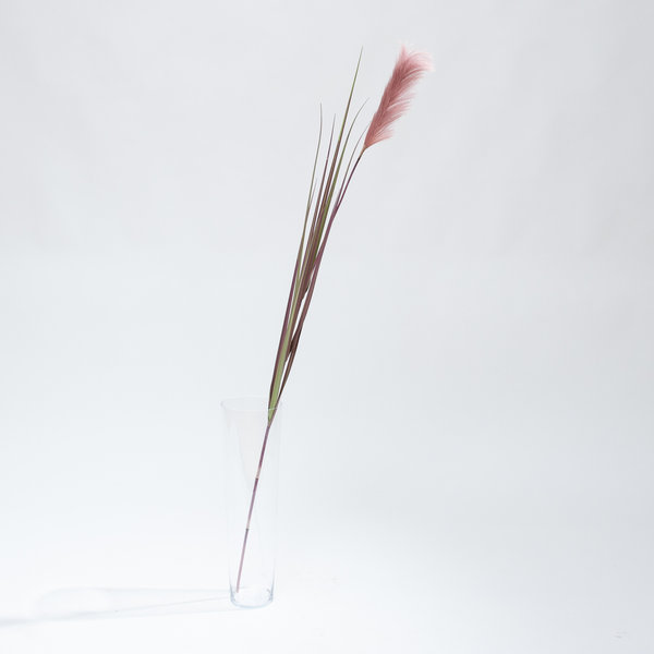 Coolplant Artificial Pampas grass purple plume 175 cm