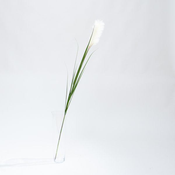 Coolplant Artificial Pampas grass white plume 175 cm
