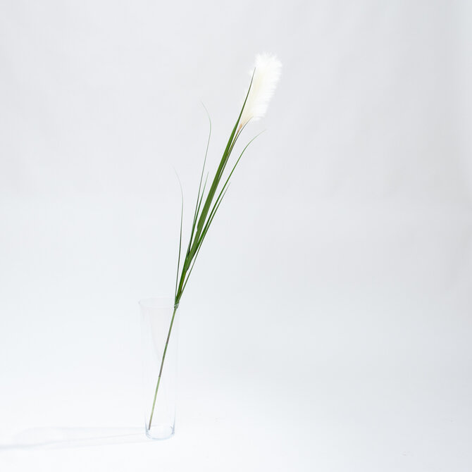 Coolplant Artificial Pampas grass white plume 175 cm