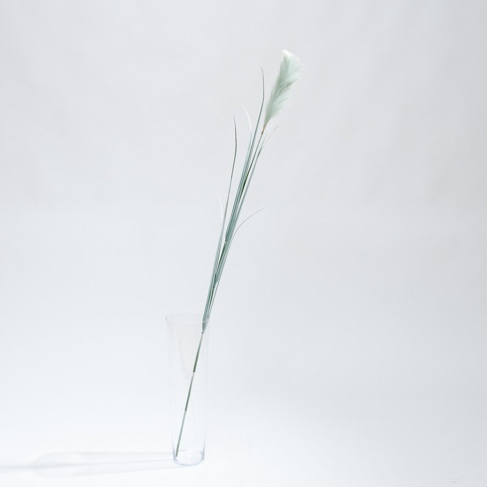 Coolplant Pampasgras grüne künstliche Rispe 175 cm