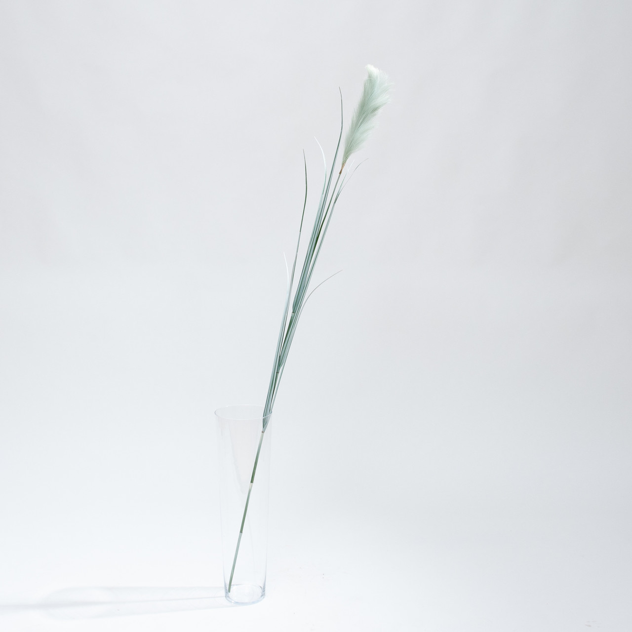 Artificial Pampas grass green plume 175 cm