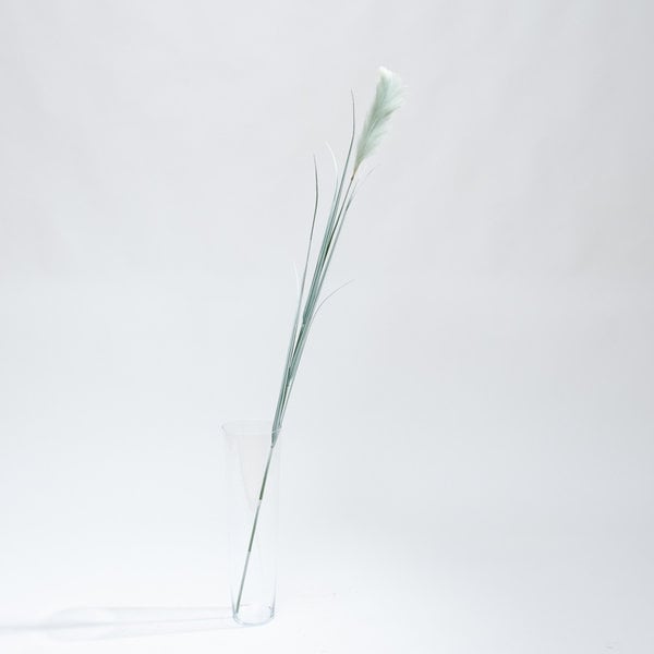 Coolplant Artificial Pampas grass green plume 175 cm