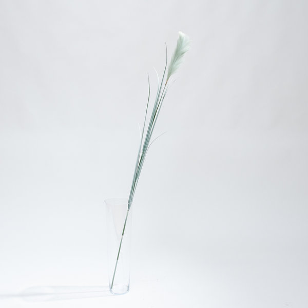 Coolplant Pampasgras grüne künstliche Rispe 175 cm