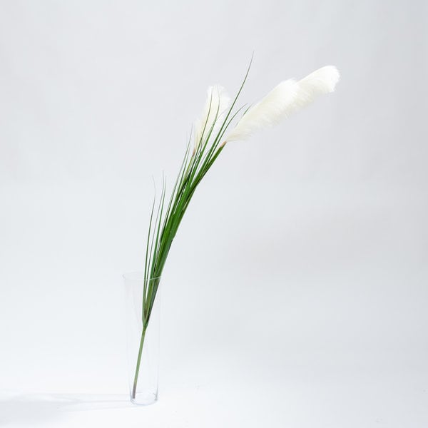 Coolplant Artificial Pampas grass white plumes 195 cm