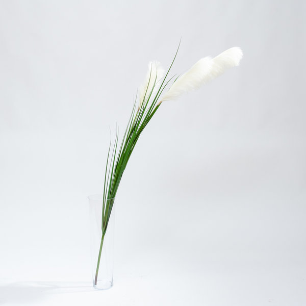 Coolplant Pampasgras witte kunst pluimen 195 cm