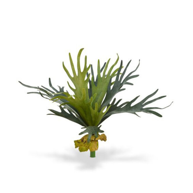 Coolplant Hertshoorn kunstboeket 50 cm