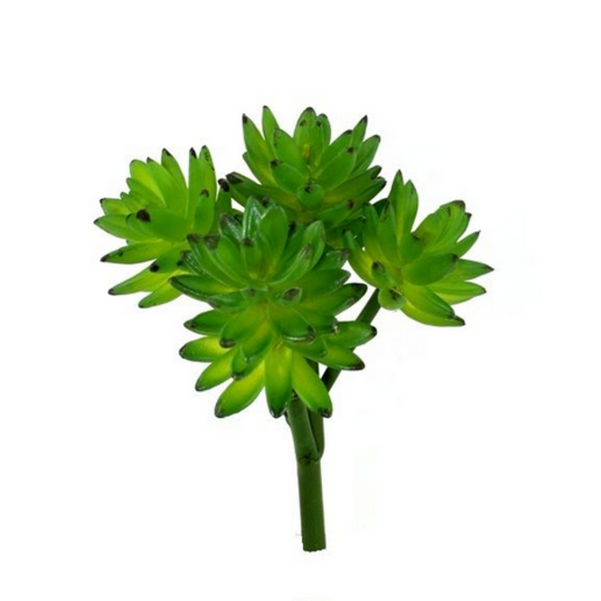 Coolplant Echeveria Vetplant kunstboeket