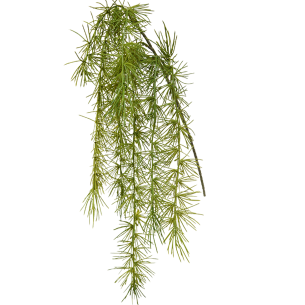Asparagus Spengeri kunsttak 40 cm