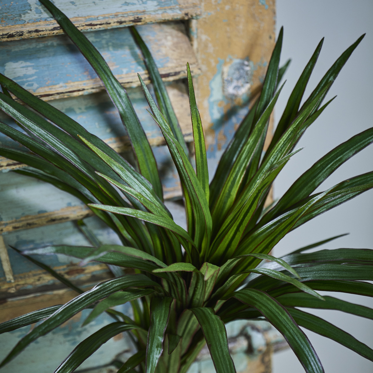 Dracaena Marginata Kunstboeket 50 cm