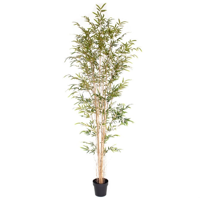 Coolplant Kunst Bamboe 210 cm