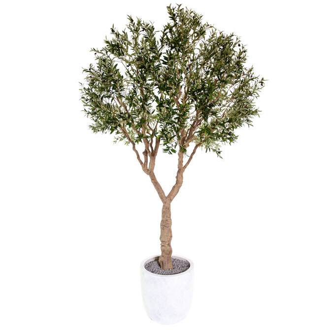 Coolplant Grote Kunst Olijfboom 300 cm