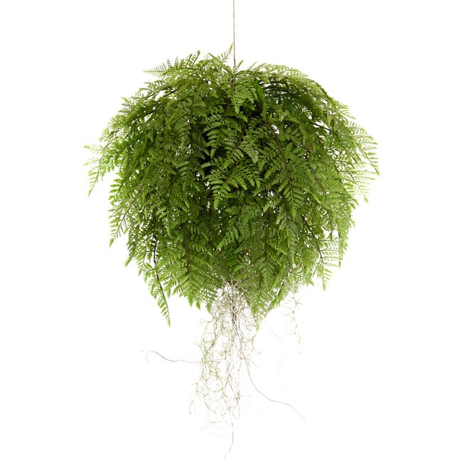 Coolplant Kunst Hangvaren 55 cm