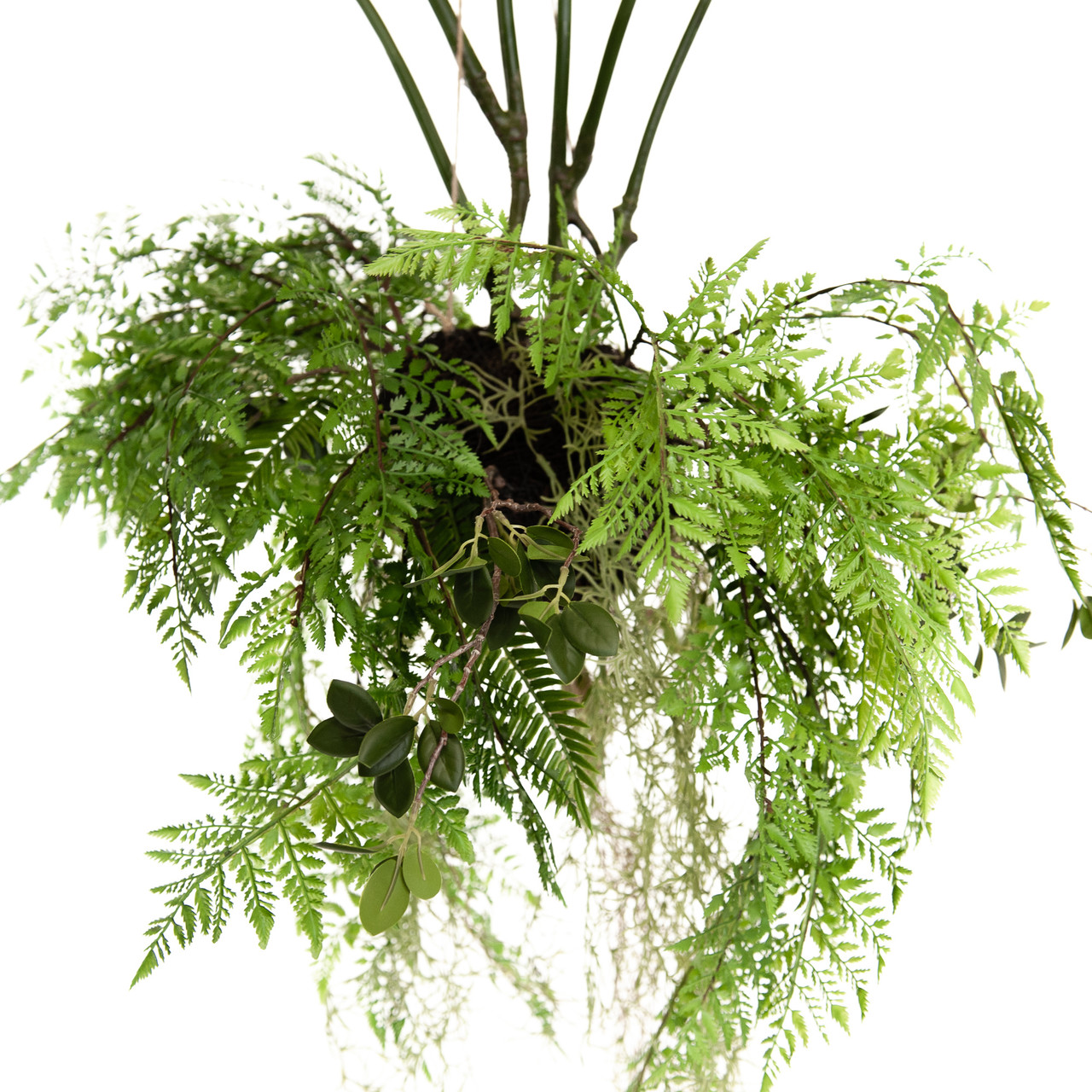 Kunst Hangvaren en Monstera 95 cm