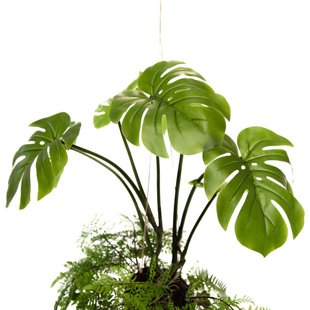 Kunst Hangvaren en Monstera 95 cm