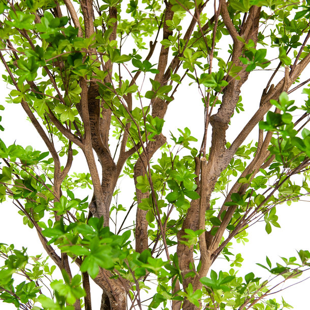 Grote Groene Kunstboom 400 cm