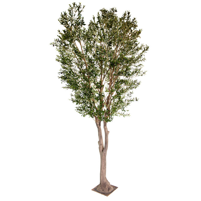 Coolplant Grote Kunst Olijfboom 400 cm